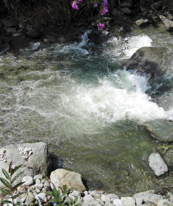 Photo of Others in Ibague