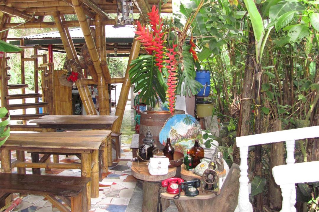 Photo of Others in Ibague