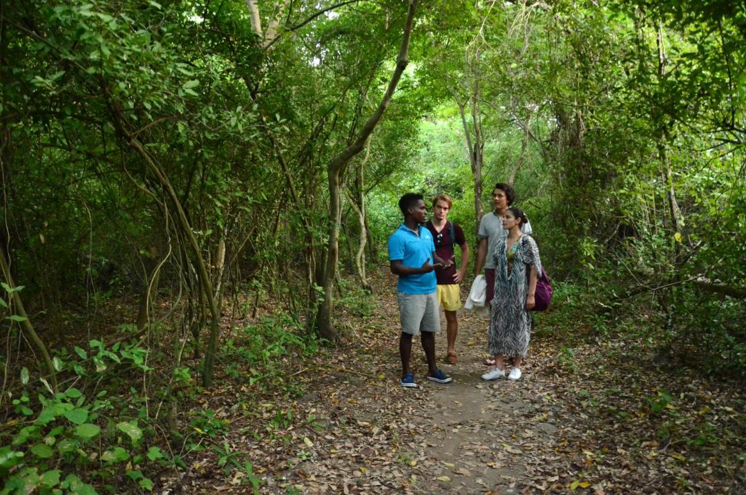 Photo of Others in Rosario Islands