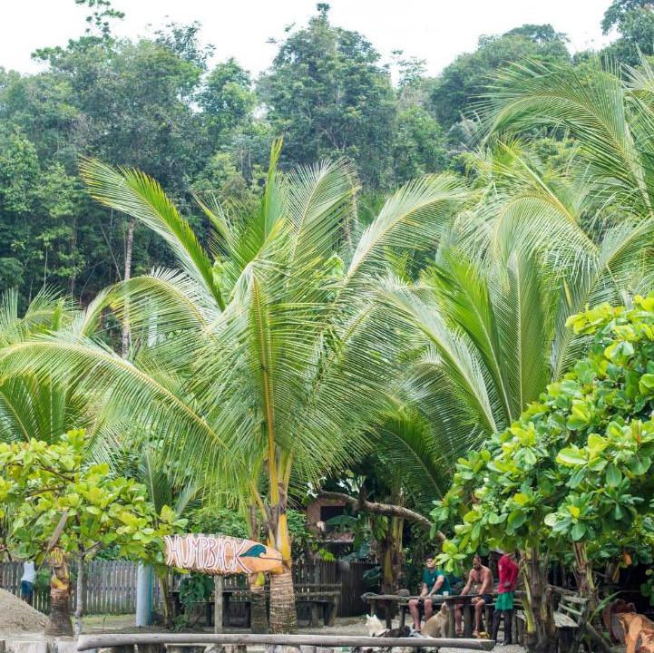 Photo of Others in El Valle