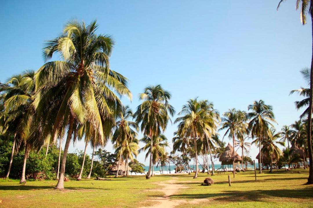 Photo of Others in Santa Marta