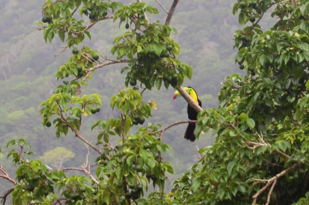 Photo of Others in Santa Marta