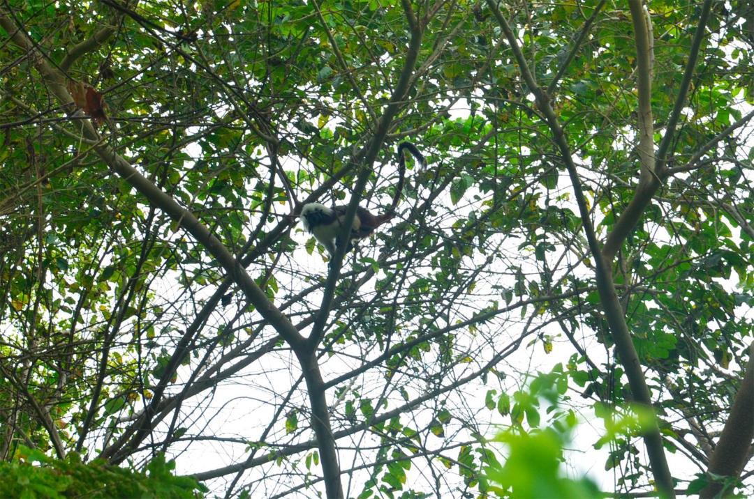 Photo of Others in Santa Marta