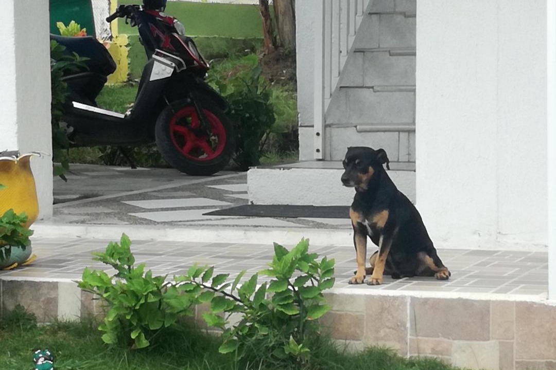 Photo of Others in Providencia