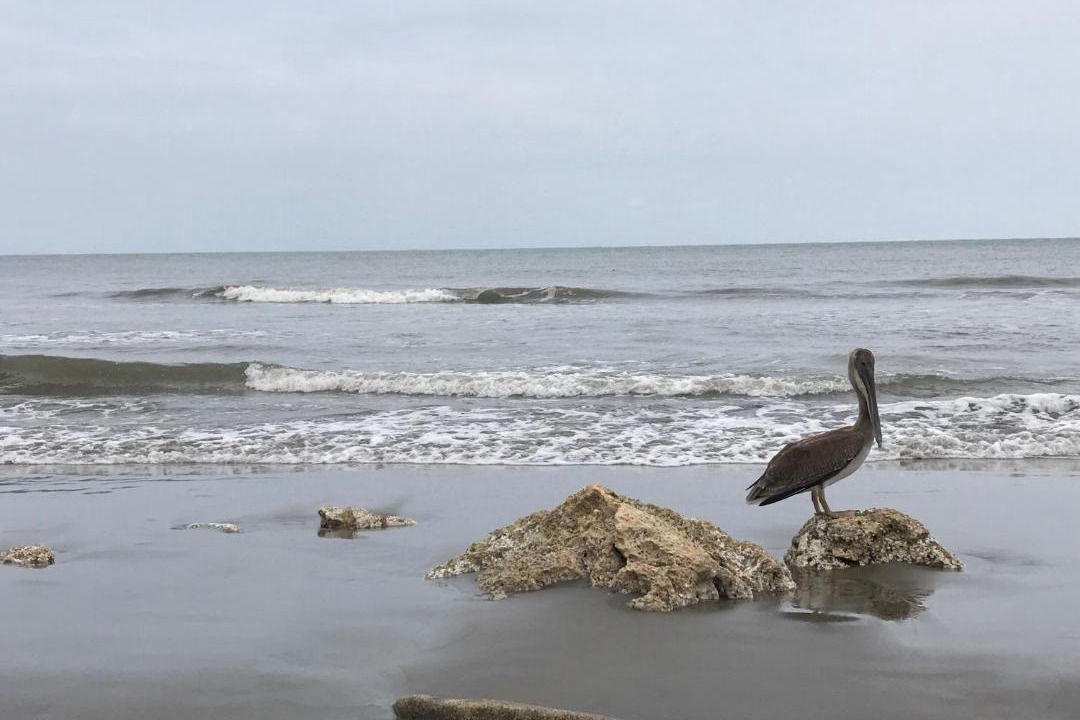 Photo of Others in Puerto Colombia