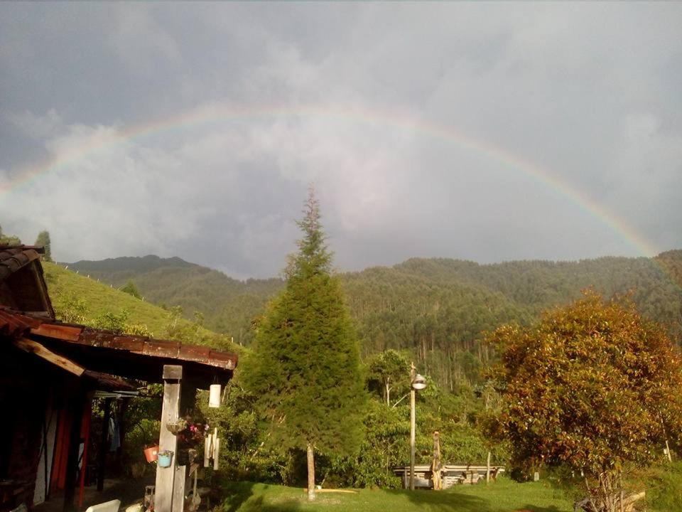 Photo of Others in Santa Rosa de Cabal