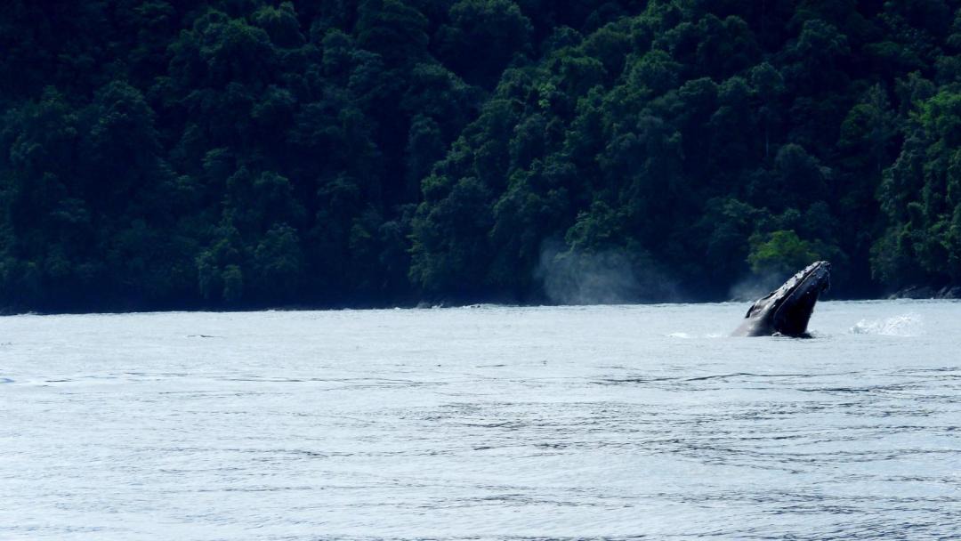 Photo of Others in Nuqui