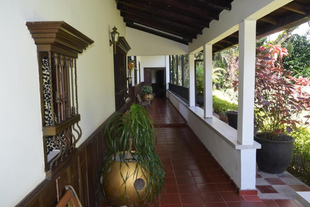 Photo of Others in La Tebaida