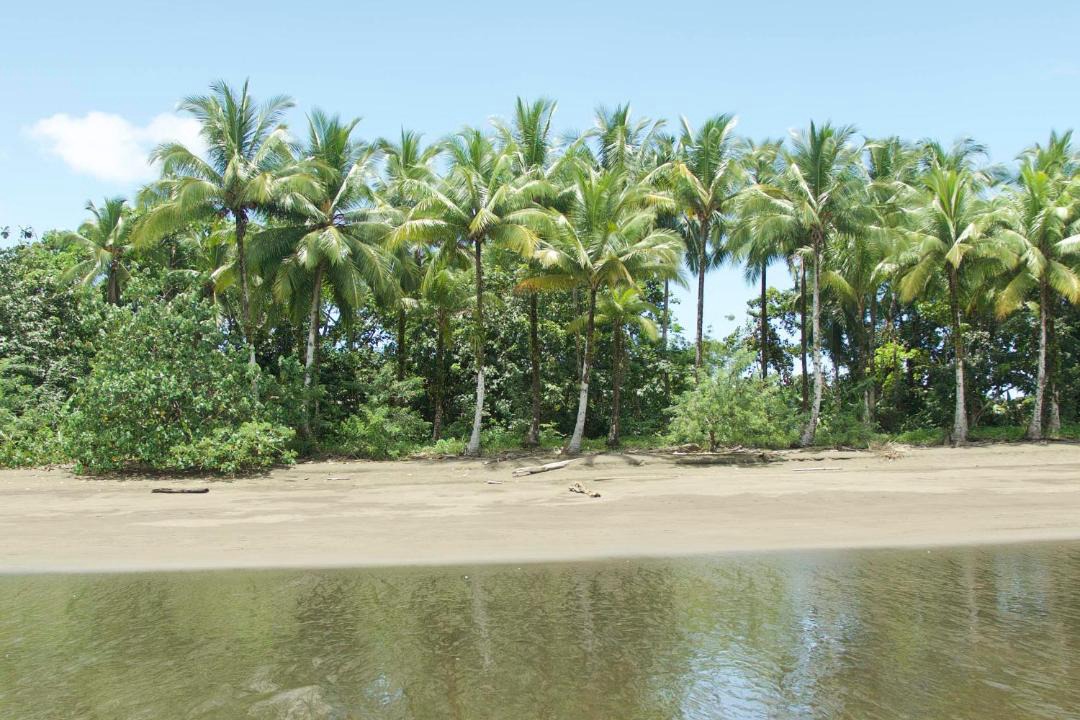 Photo of Others in Nuqui