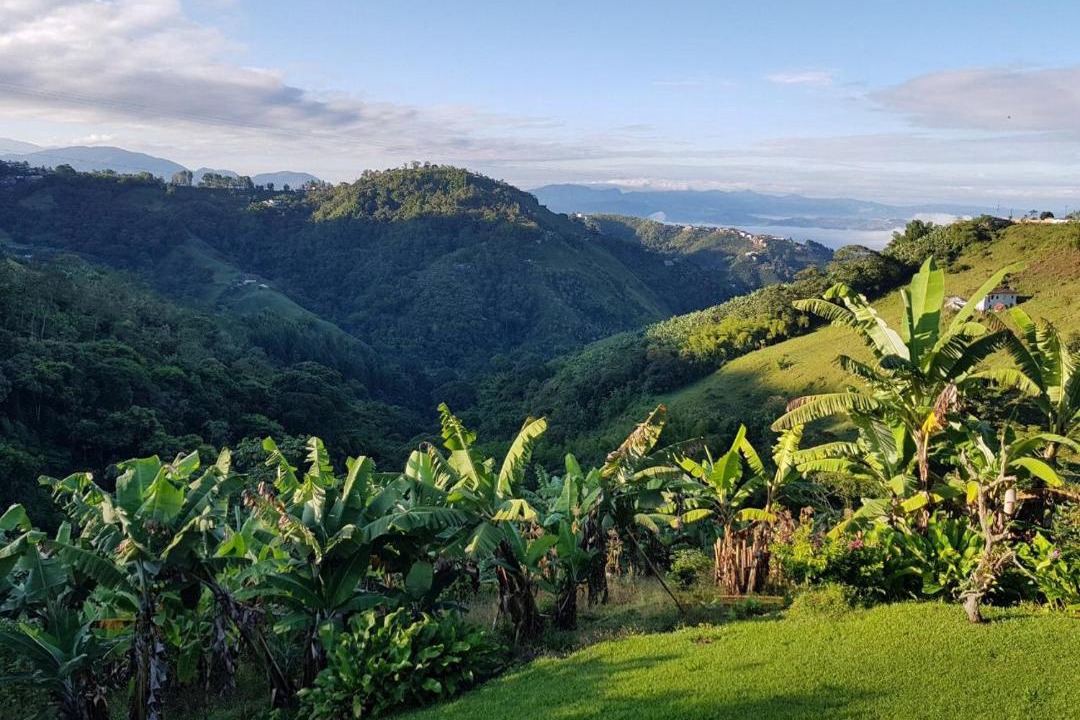 Photo of Others in Manizales