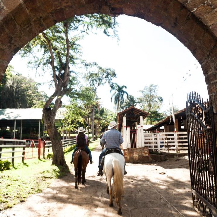 Photo of Others in Pinchote