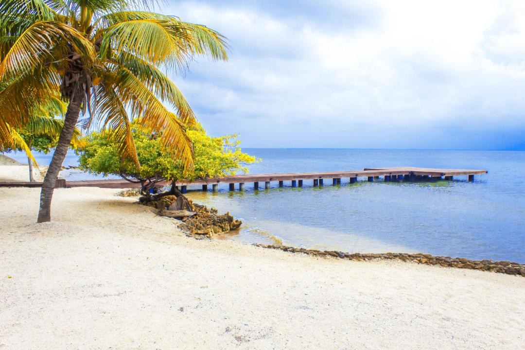 Photo of Others in Bocachica