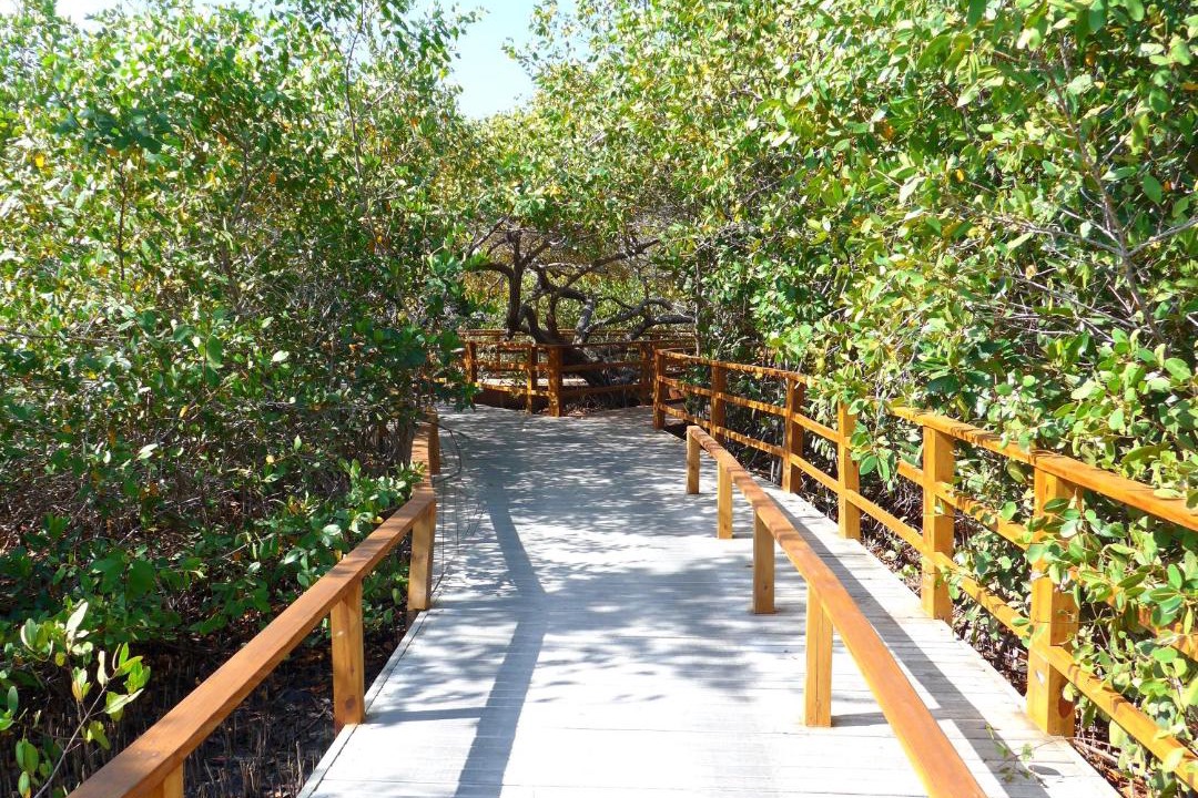 Photo of Others in Bocachica