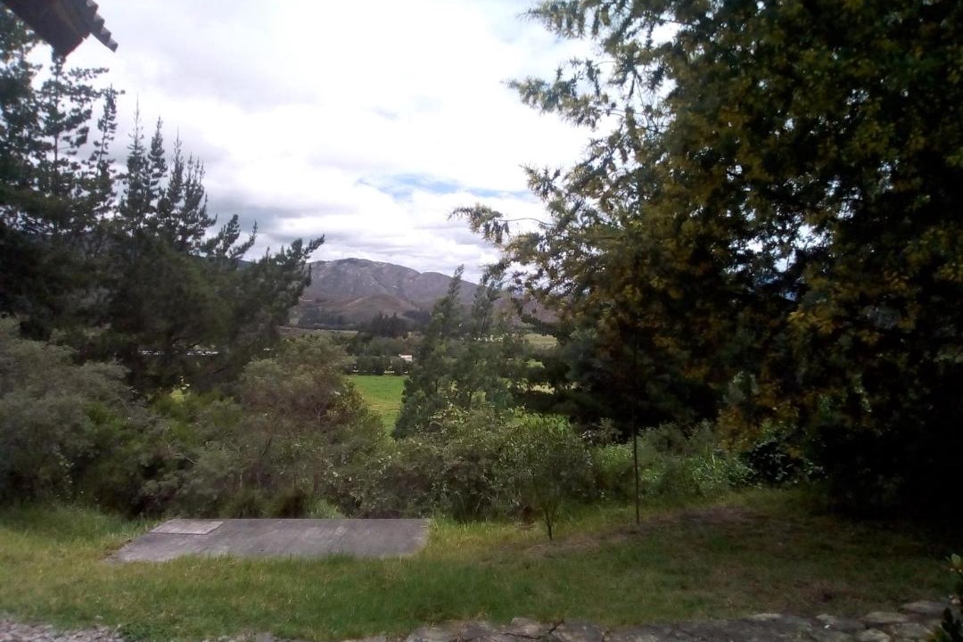 Photo of Others in Cucunuba