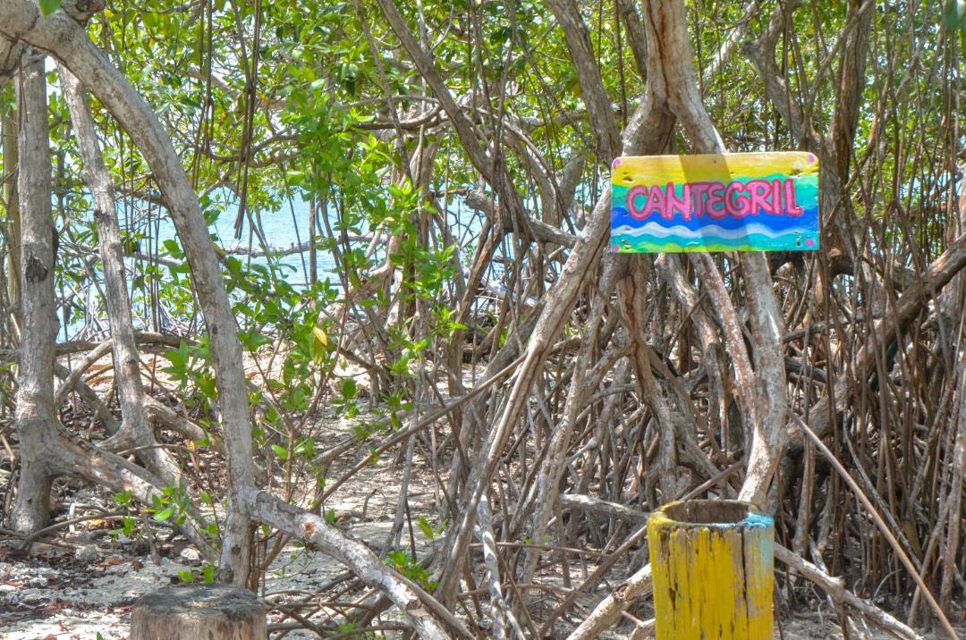 Photo of Others in Isla Tintipan