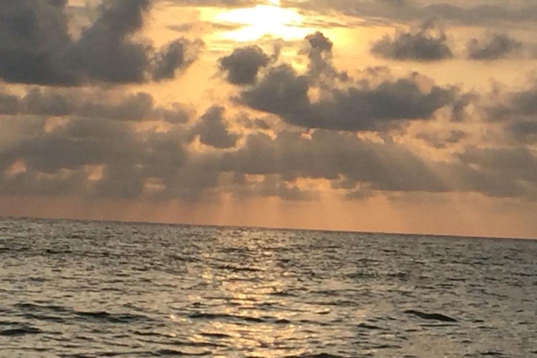 Photo of Others in Bocachica