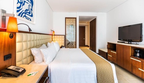 Standard Room, 1 King Bed, Accessible