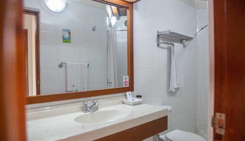 Premium Room, 1 King Bed, Non Smoking, Pool View