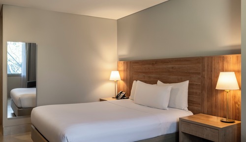 Room, 1 King Bed