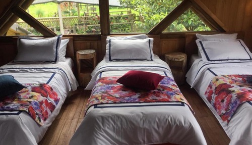 Classic Cabin, Multiple Beds, Valley View
