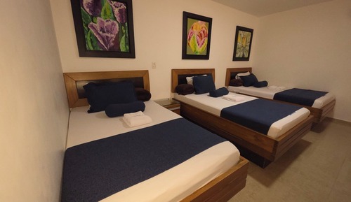 Basic Triple Room