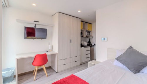 Basic Studio Suite