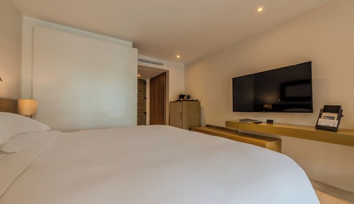 Classic Room, 1 King Bed (Interior view)