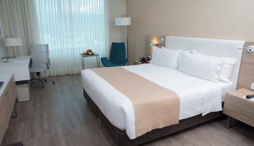 Standard Room, 1 King Bed