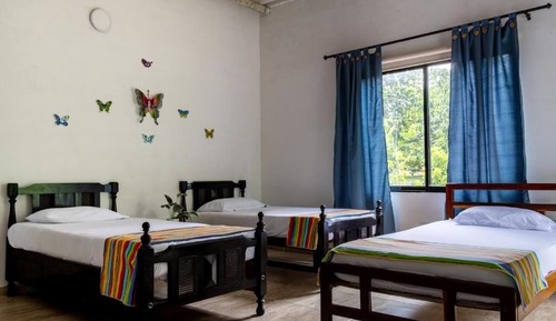 Standard Quadruple Room, Balcony, Garden View