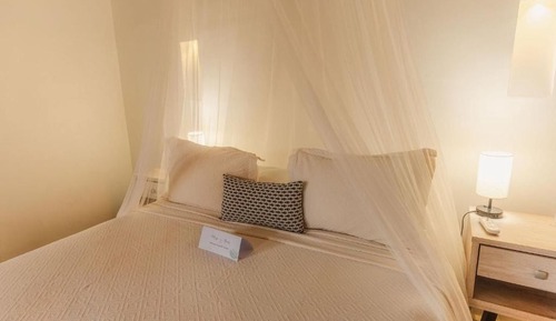 Basic Double Room