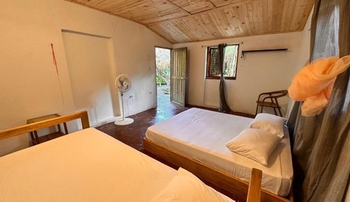 Basic Triple Room