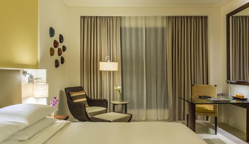 Room, 1 King Bed