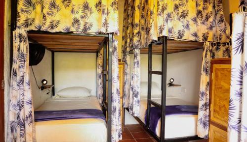 Bed in 6-Bed Female Dormitory Room