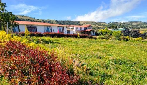 Standard Villa