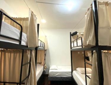 Bed in 8-Bed Mixed Dormitory Room