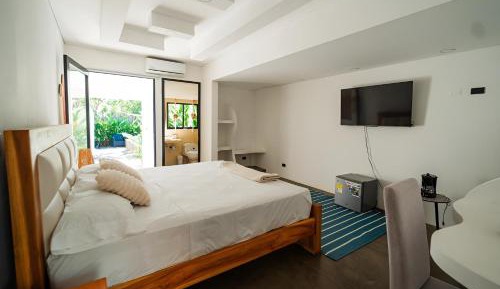 Deluxe Double or Twin Room with Pool Access