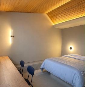 One-bedroom Loft Apartment 