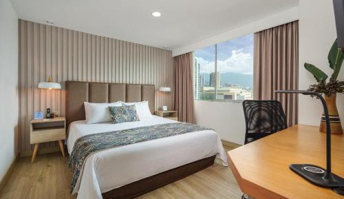 Deluxe One-Bedroom Apartment with City View