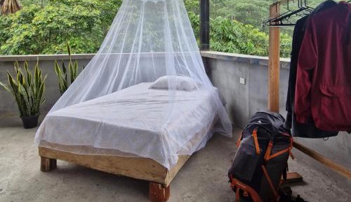 Bed in 4-Bed Mixed Dormitory Room