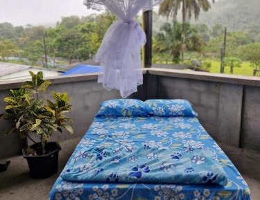 Single Bed in Dormitory Room