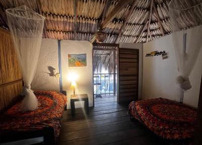 Room #209440412