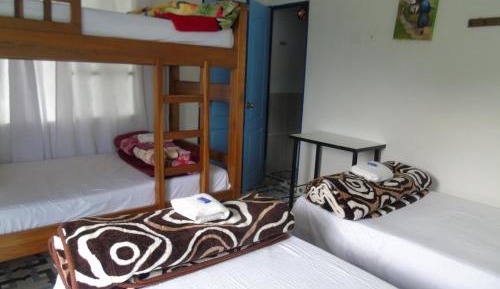 Bed in 4-Bed Mixed Dormitory Room
