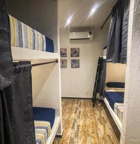 Bed in 6-Bed Dormitory Room