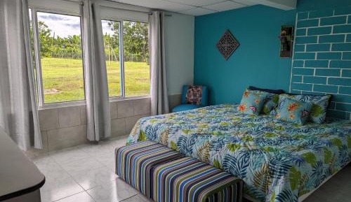 Double Room with Pool View