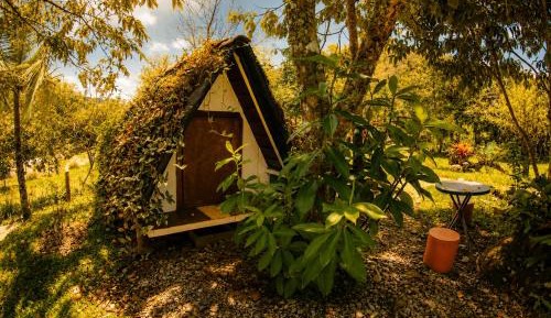 Standard Single Room with Shared Bathroom
