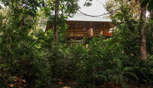 Double or Twin Room with Terrace