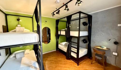 Bed in 4-Bed Female Dormitory Room