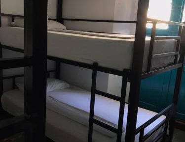Single Bed in Mixed Dormitory Room