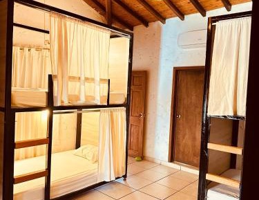 Bed in 6-Bed Mixed Dormitory Room
