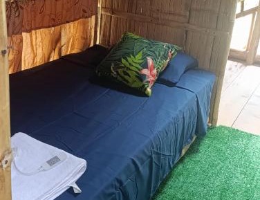 Single Bed in 6-Bed Dormitory Room